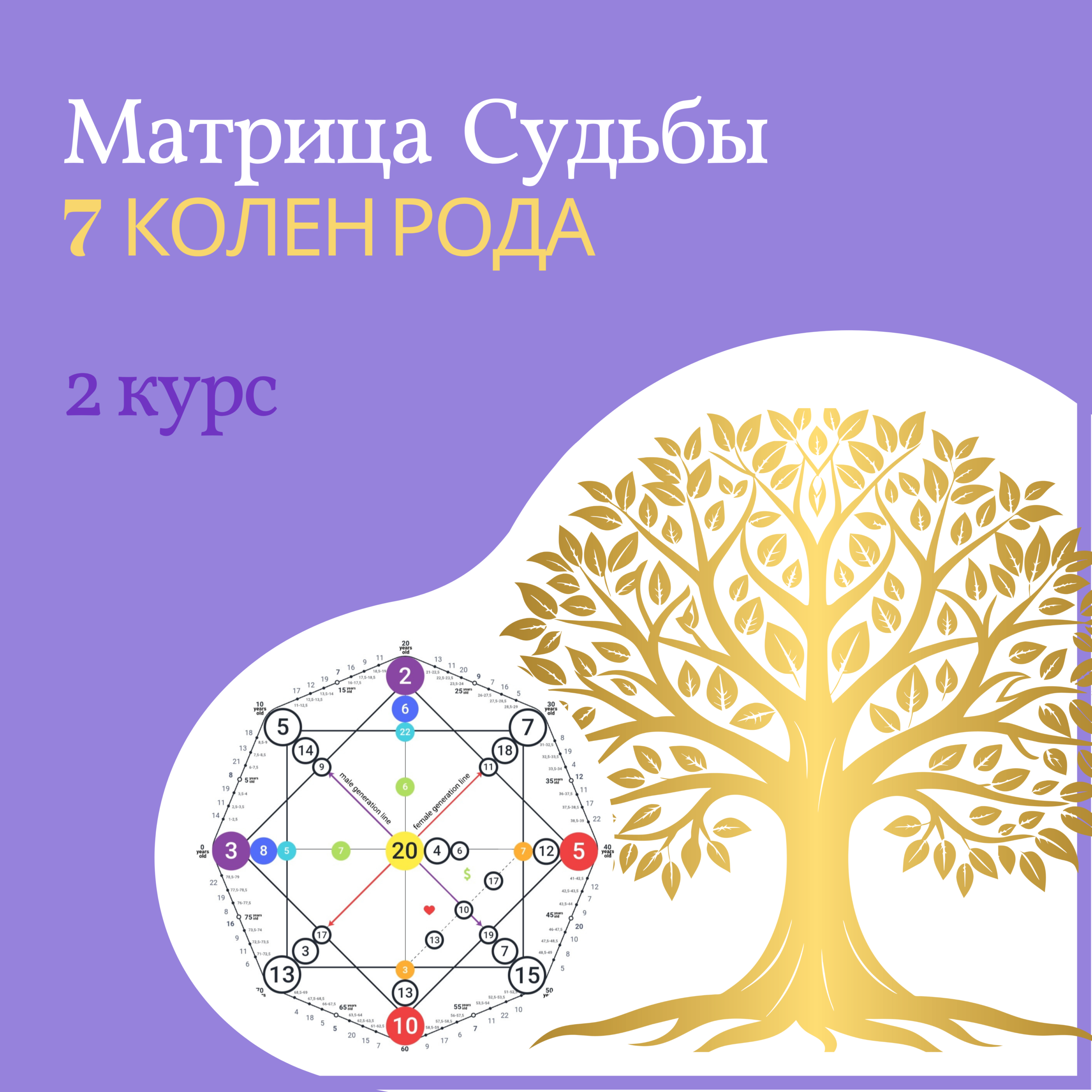 2 курс Матрицы Судьбы  «7 колен рода»